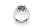 Meteor Signet Ring in Silver