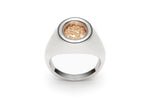 Meteor Signet Ring in Gold